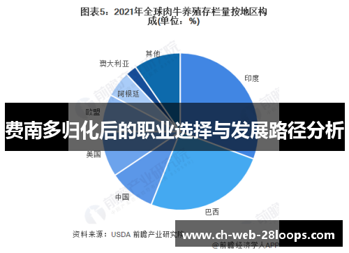 费南多归化后的职业选择与发展路径分析